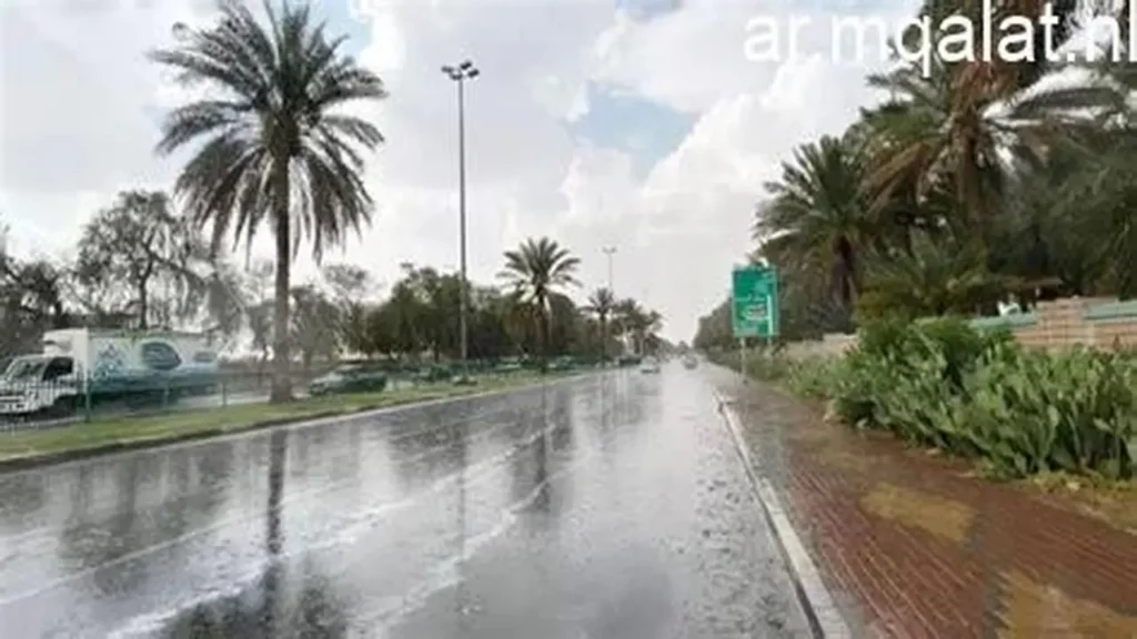 تحذير للأهالي.. انخفاض درجات الحرارة في القاهرة إلى 10 صغرى مع انتشار الضباب كثيفا